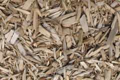 biomass boilers Danehill